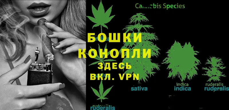 где найти   Наволоки  Канабис Ganja 